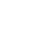 毒蛾