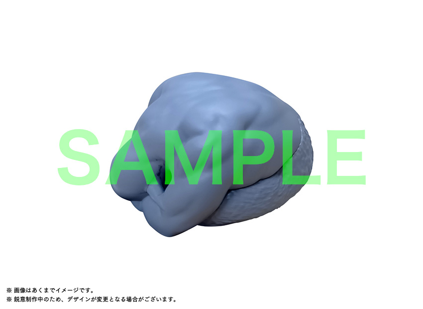 Blu-ray Box｜アニメ『ドロヘドロ』